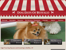 Tablet Screenshot of dogdaysofbuffalo.com